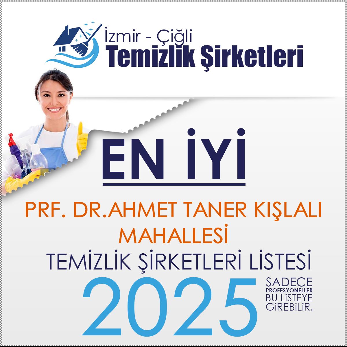 Prf. Dr.Ahmet Taner Kışlalı Mahallesi Temizlik Şirketleri